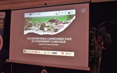 Journée Mondiale des PME : accompagner et soutenir leur préparation aux catastrophes