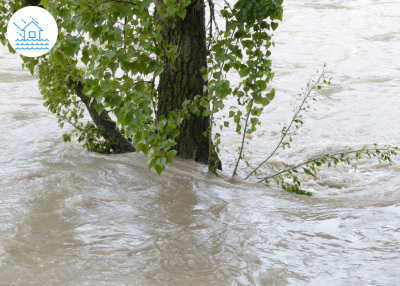 6 choses à faire pendant une inondation