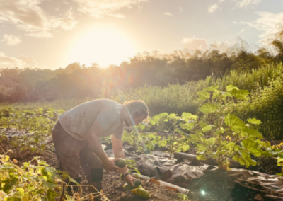 Développer une ferme climato-intelligente