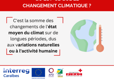 Le changement climatique : impacts et solutions