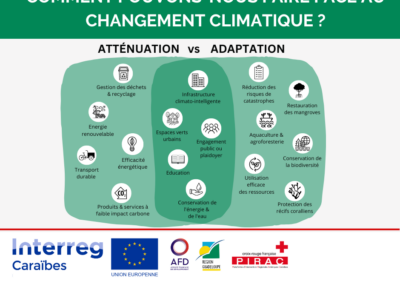 Changement climatique : adaptation et atténuation