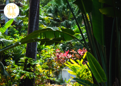 Cultivez un jardin familial responsable