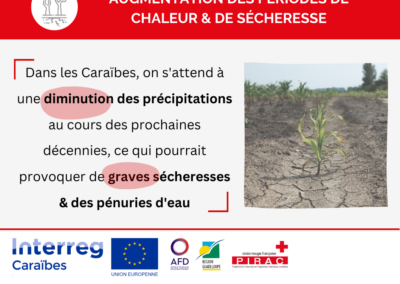 Changement climatique : augmentation des périodes de chaleur et de sécheresse