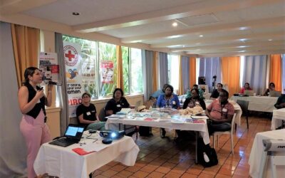 Regional Meeting on Disaster Risk Reduction in the School Environment: Caribbean stakeholders gather on November 22 and 23 in Guadeloupe.