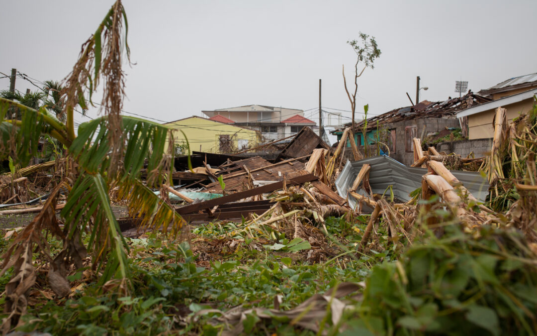 COP29: PIRAC committed to climate resilience in the Caribbean